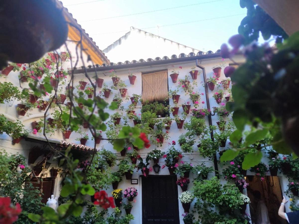 Apartamento El Capricho de San Fernando, Consigna gratis y Parking a 200mts Córdoba Exterior foto