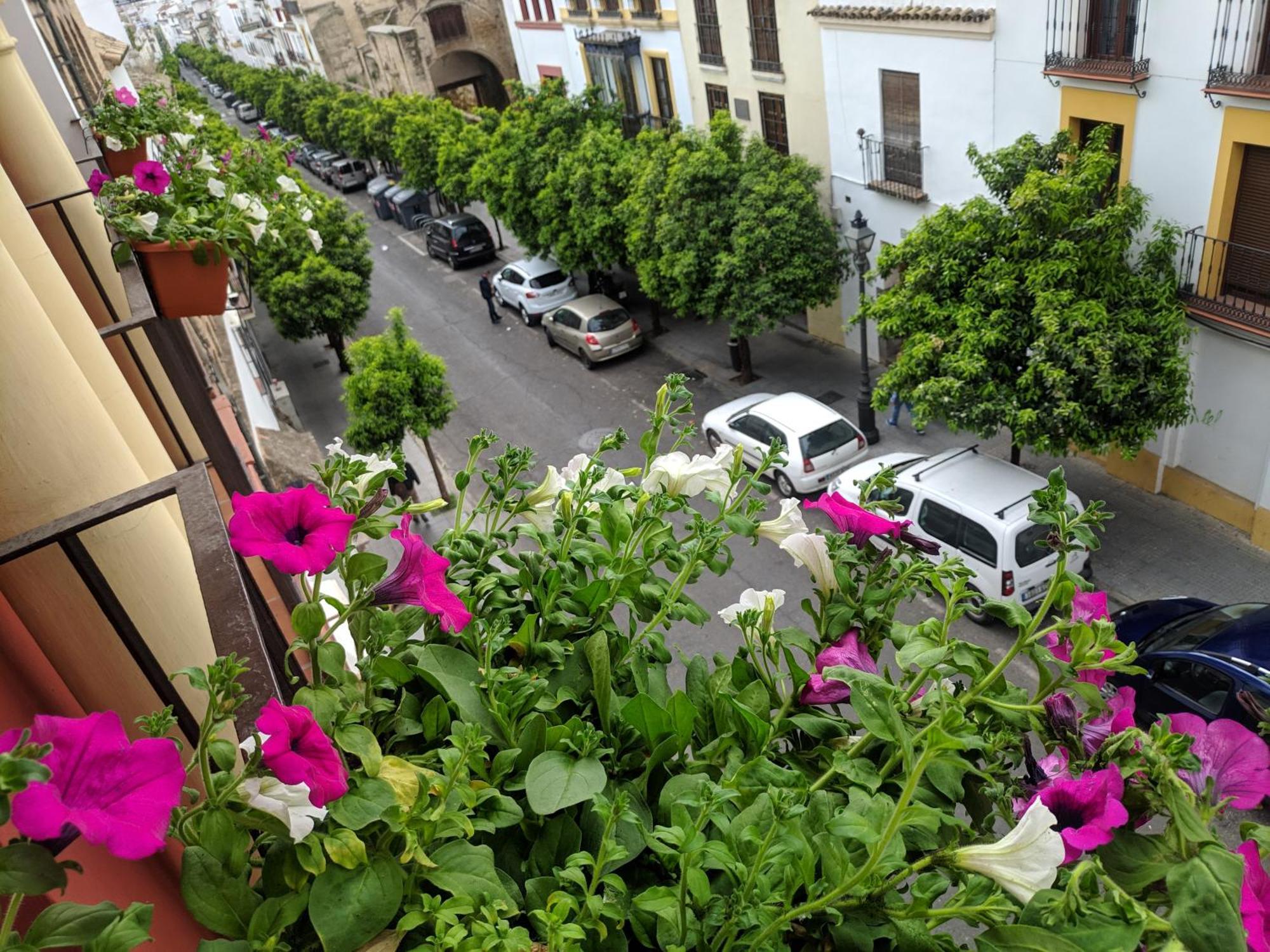 Apartamento El Capricho de San Fernando, Consigna gratis y Parking a 200mts Córdoba Exterior foto