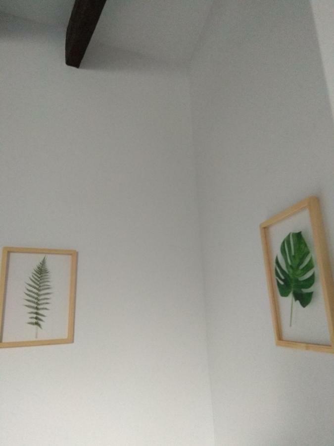 Apartamento El Capricho de San Fernando, Consigna gratis y Parking a 200mts Córdoba Exterior foto